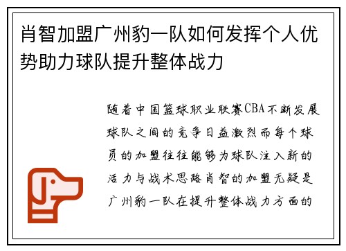 肖智加盟广州豹一队如何发挥个人优势助力球队提升整体战力