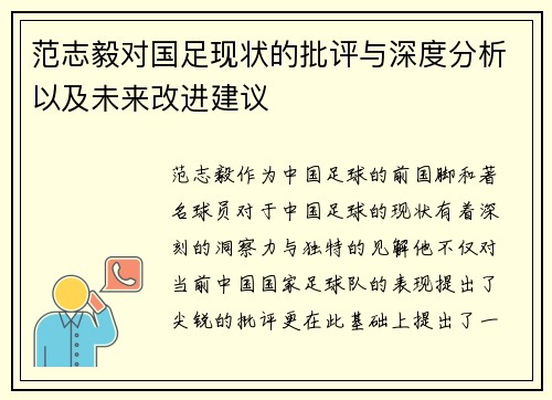 范志毅对国足现状的批评与深度分析以及未来改进建议