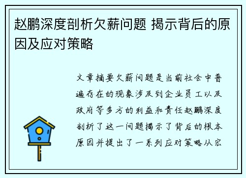 赵鹏深度剖析欠薪问题 揭示背后的原因及应对策略